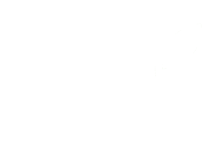 Logo BioConseils