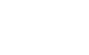 Logo BioSecure